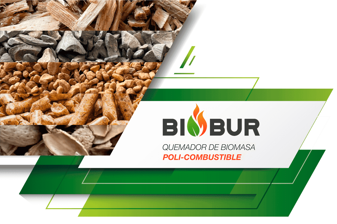 banner BIOBUR